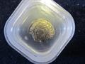 Lot 1058 Image