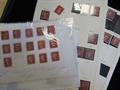 Lot 2000 Image