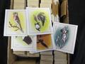 Lot 2431 Image