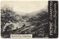 Lot 2443 Image
