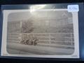 Lot 2436 Image