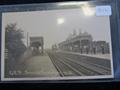 Lot 2449 Image