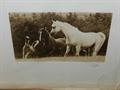 Lot 9 Image