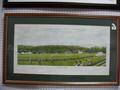 Lot 5 Image