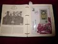 Lot 25 Image