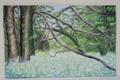 Lot 155 Image