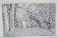 Lot 156 Image