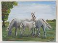 Lot 168 Image