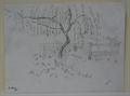 Lot 177 Image