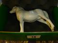 Lot 14 Image