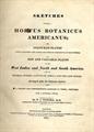 Lot 622 Image