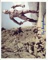 Lot 239 Image