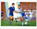 Lot 437 Image