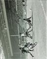 Lot 613 Image