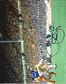 Lot 635 Image