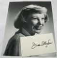 Lot 73 Image