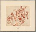 Lot 27 Image