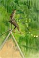 Lot 4 Image