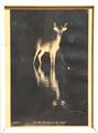 Lot 6 Image
