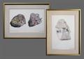 Lot 11 Image