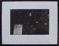 Lot 19 Image