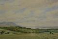 Lot 551 Image