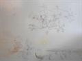 Lot 552 Image