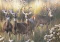 Lot 58 Image