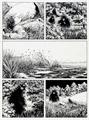 Lot 60 Image