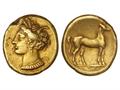 Lot 11 Image