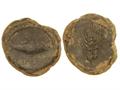 Lot 38 Image