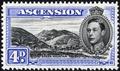 Lot 11 Image