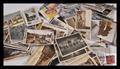 Lot 229 Image