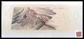 Lot 548 Image