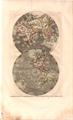 Lot 23 Image