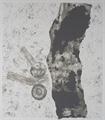 Lot 164 Image