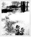 Lot 117 Image