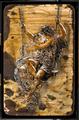 Lot 708 Image