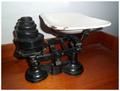 Lot 8 Image