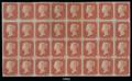 Lot 19992 Image