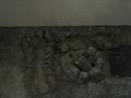 Lot 6 Image