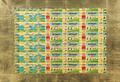 Lot 40 Image
