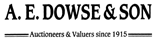 Auction Logo