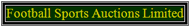 Auction Logo